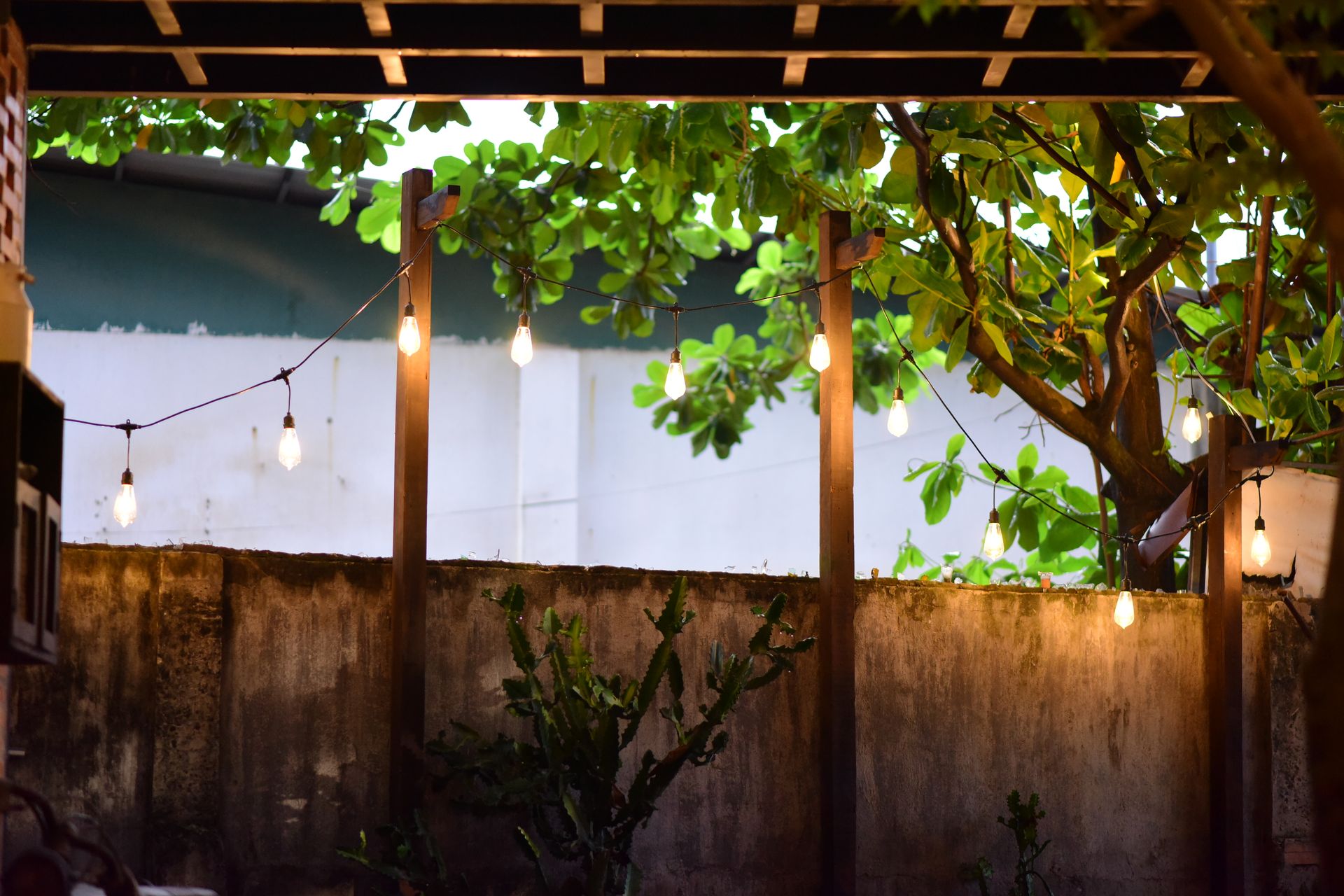 Backyard patio glowing under string lights in the evening
