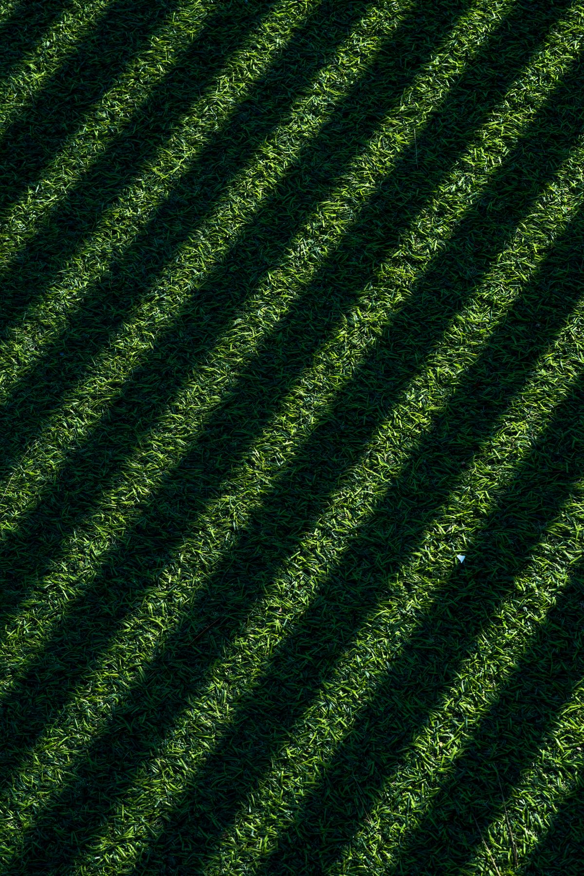 Striped mowed lawn with clean stripe pattern