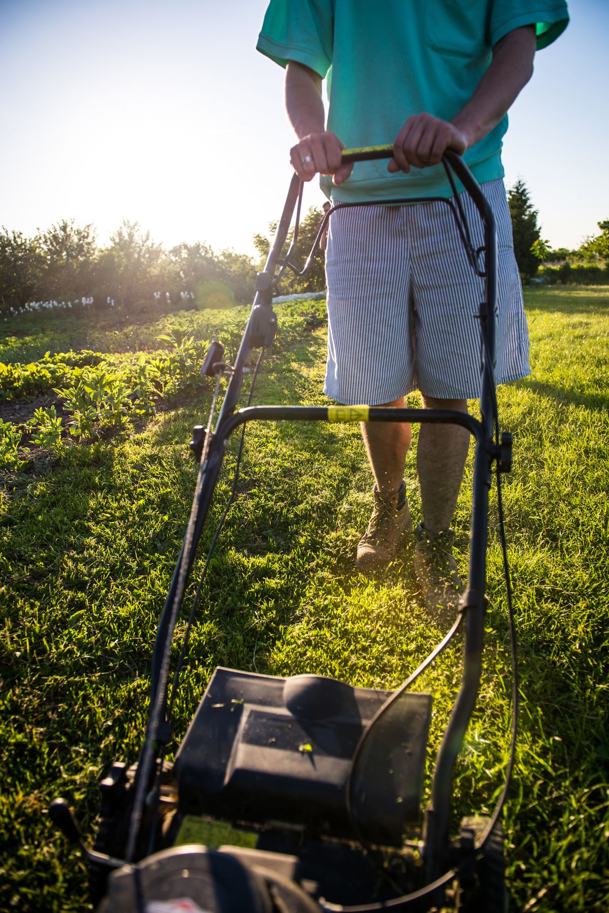Crew member mowing a lawn with a push mower